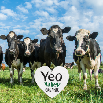 Yeo Valley case study.