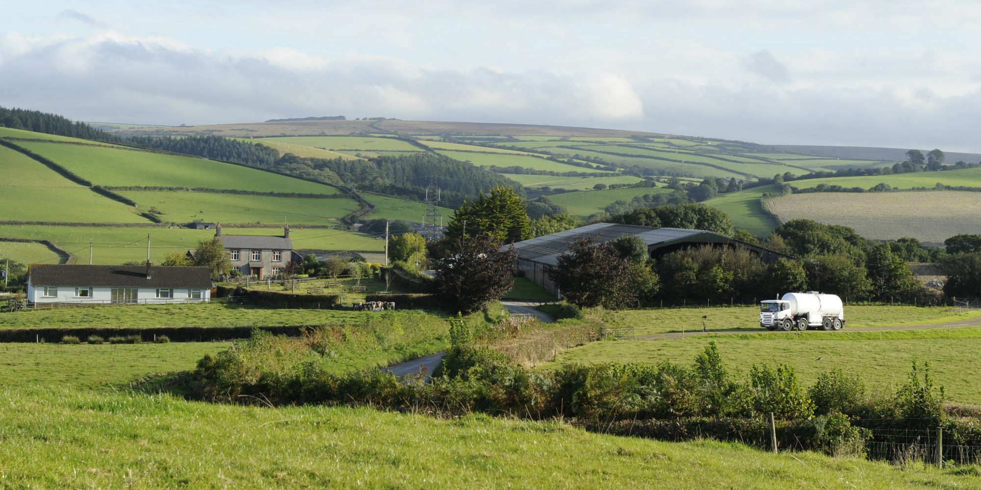 milk tanker in countryside.