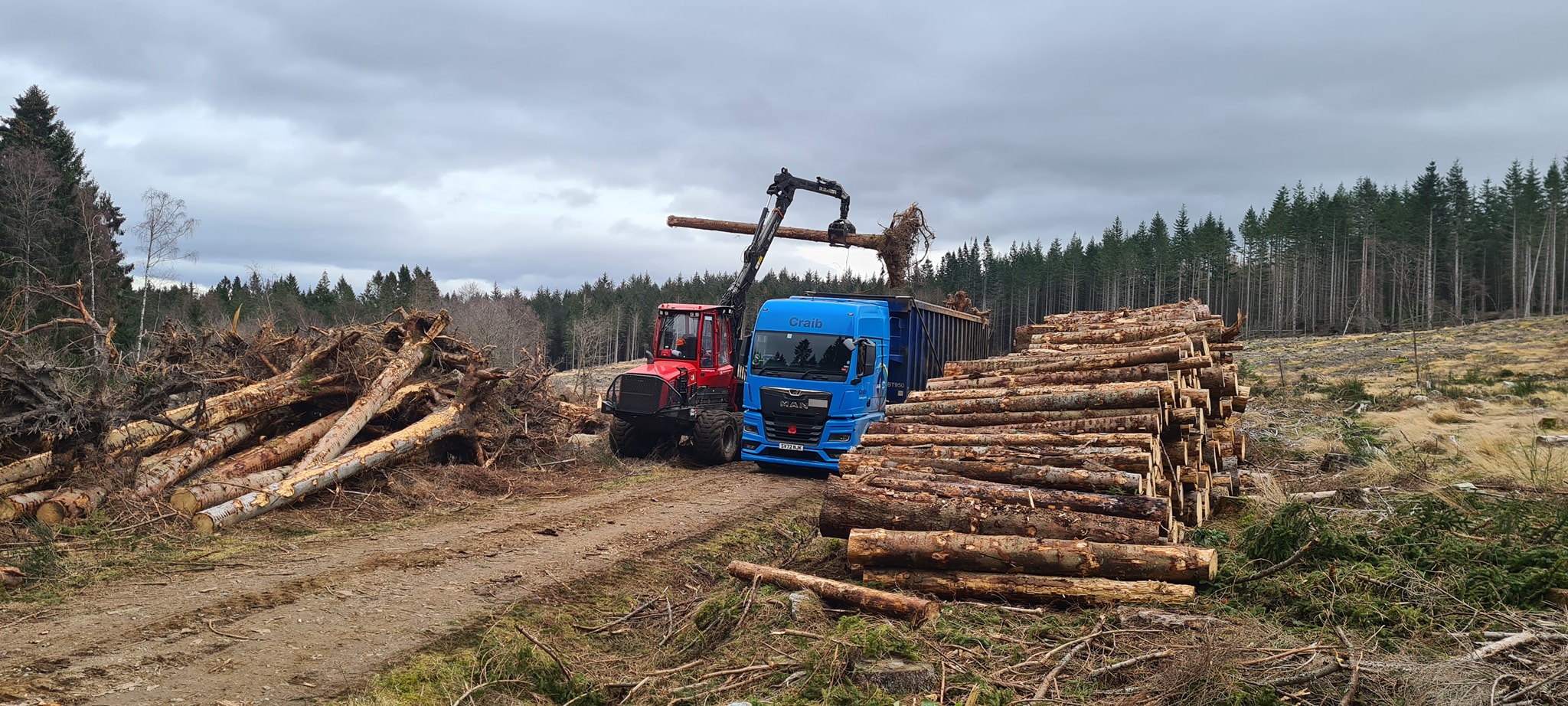 Craib lorry being loaded with logs.