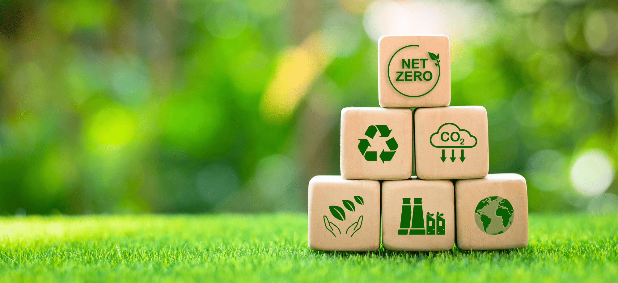 sustainability dice.