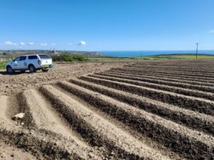 View from the eyes of an Agriculture & Compliance Supervisor.