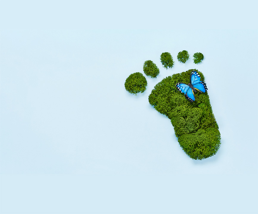 carbon footprint.