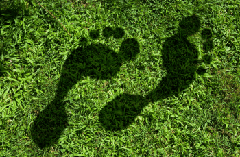 evidence your carbon savings.