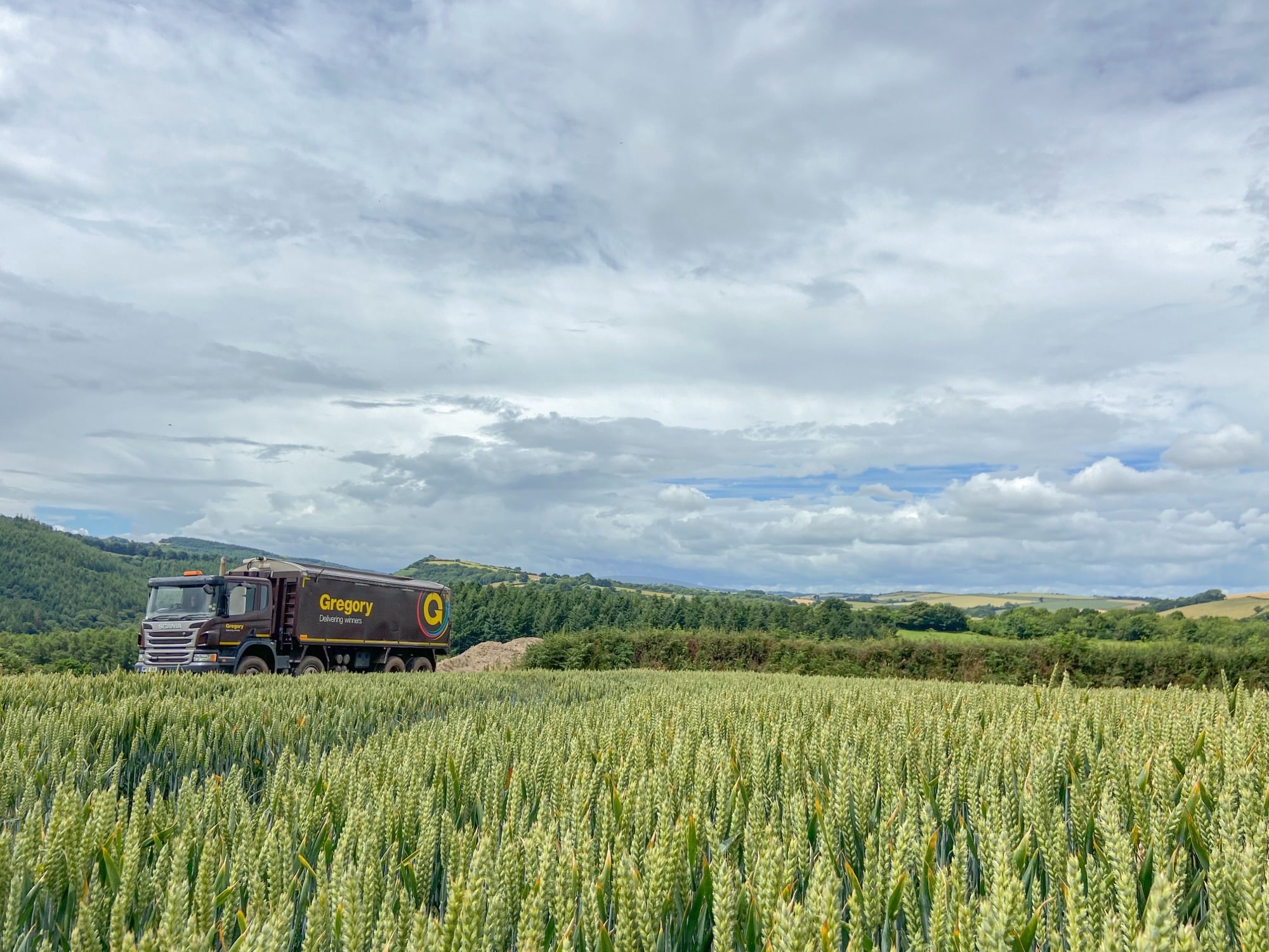 Gregory Group lorry in field of wheat.